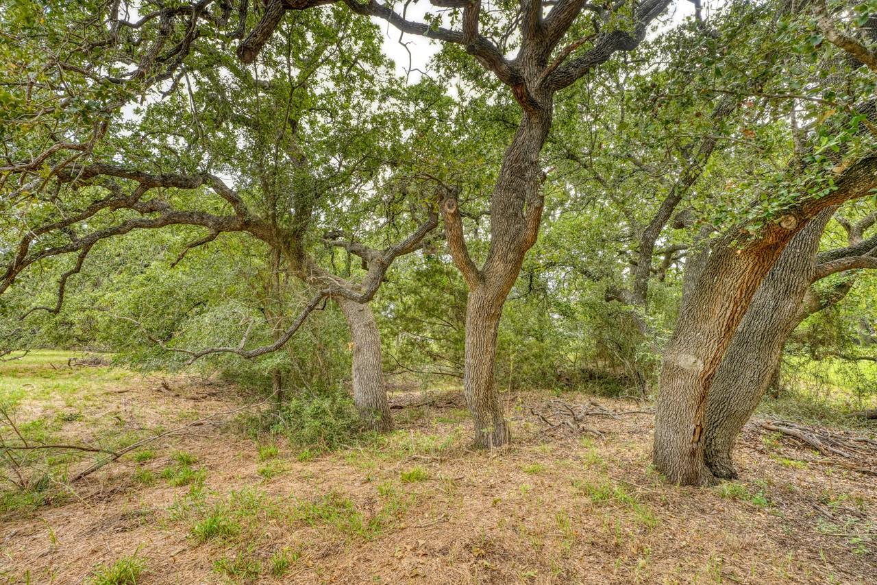 512 Flintstone Horseshoe Bay TX 78657