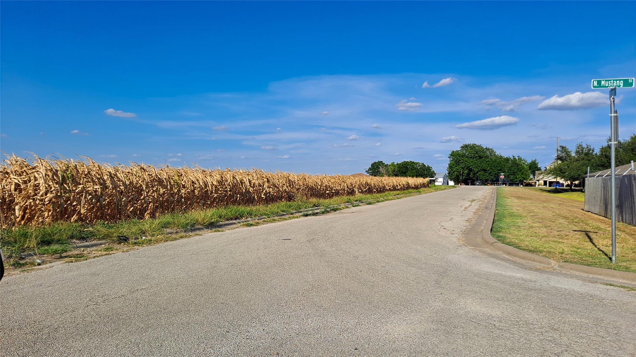 Lot 8 East Plum Street Granger TX 76530
