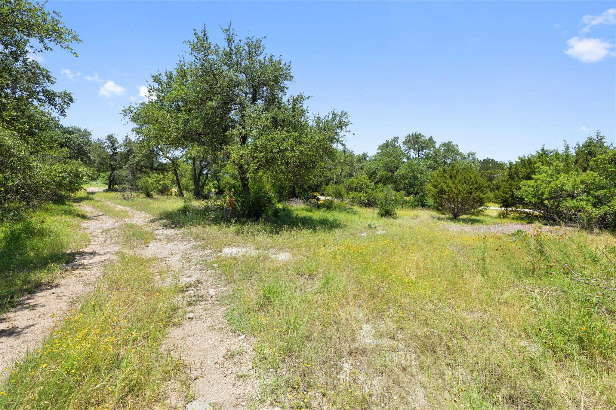 17124 Northlake Hills Drive Jonestown TX 78645