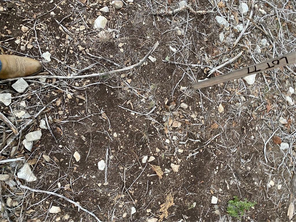 1007 Pristine Trail Canyon Lake TX 78133