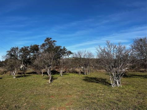 Lot 152 And 153 County Road 128 Burnet TX 78611