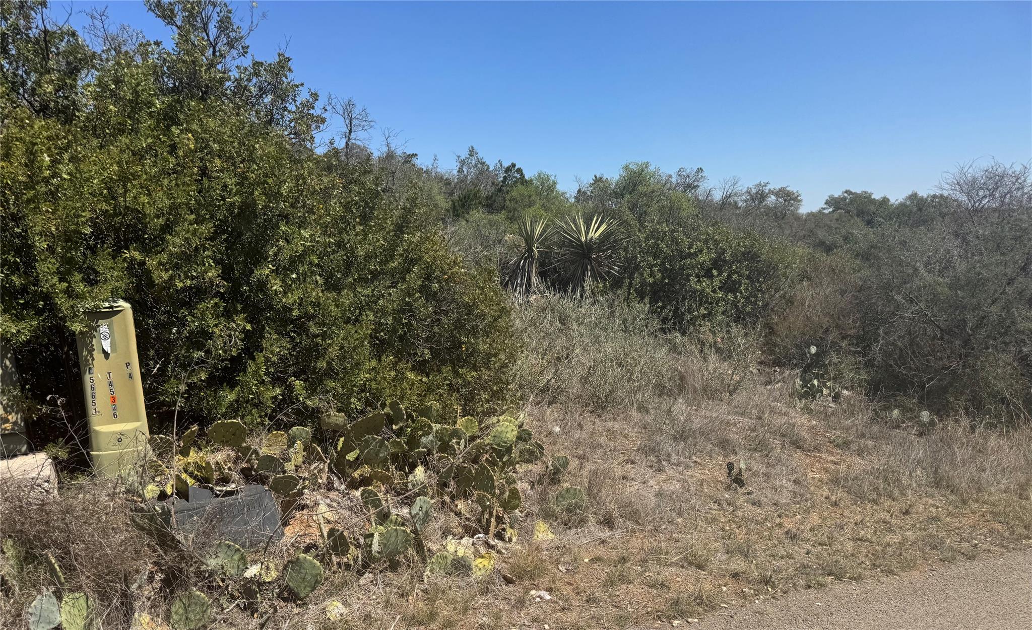 Lot 56 War Bonnet Ridge Kingsland TX 78639