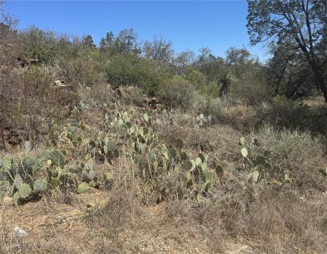 Lot 56 War Bonnet Ridge Kingsland TX 78639