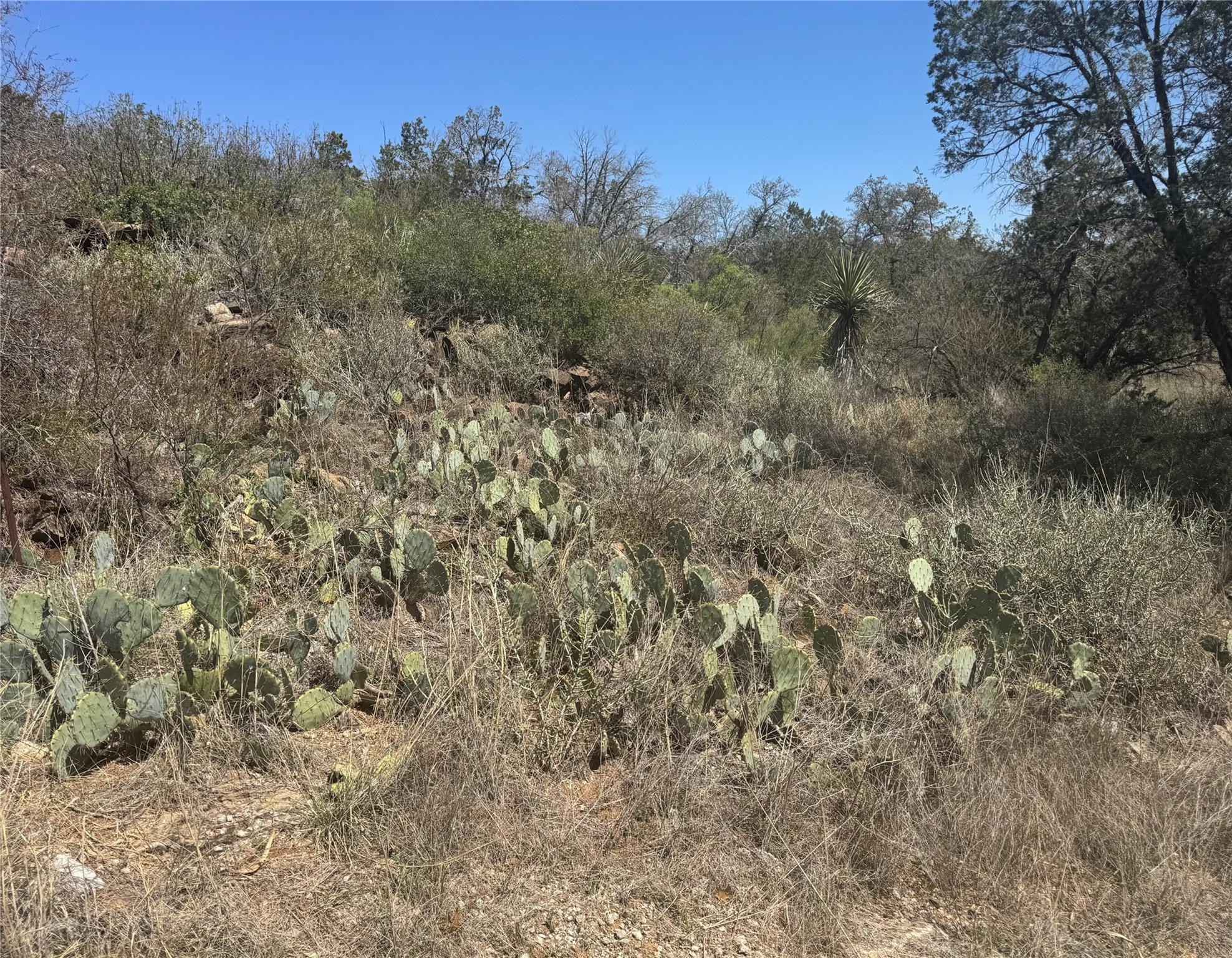 Lot 56 War Bonnet Ridge Kingsland TX 78639