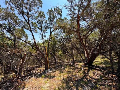 557 Dusty Saddle Canyon Lake TX 78133