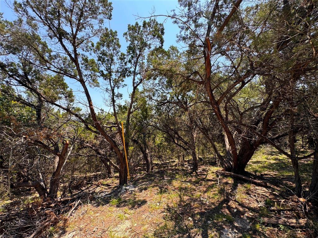 557 Dusty Saddle Canyon Lake TX 78133