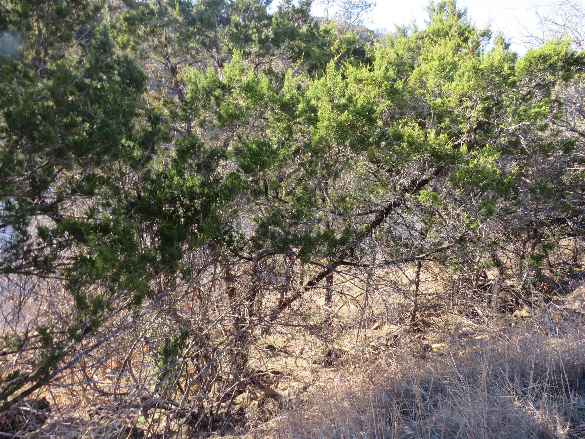 Tbd Lot 25 Sunset Cliff Road Burnet TX 78611