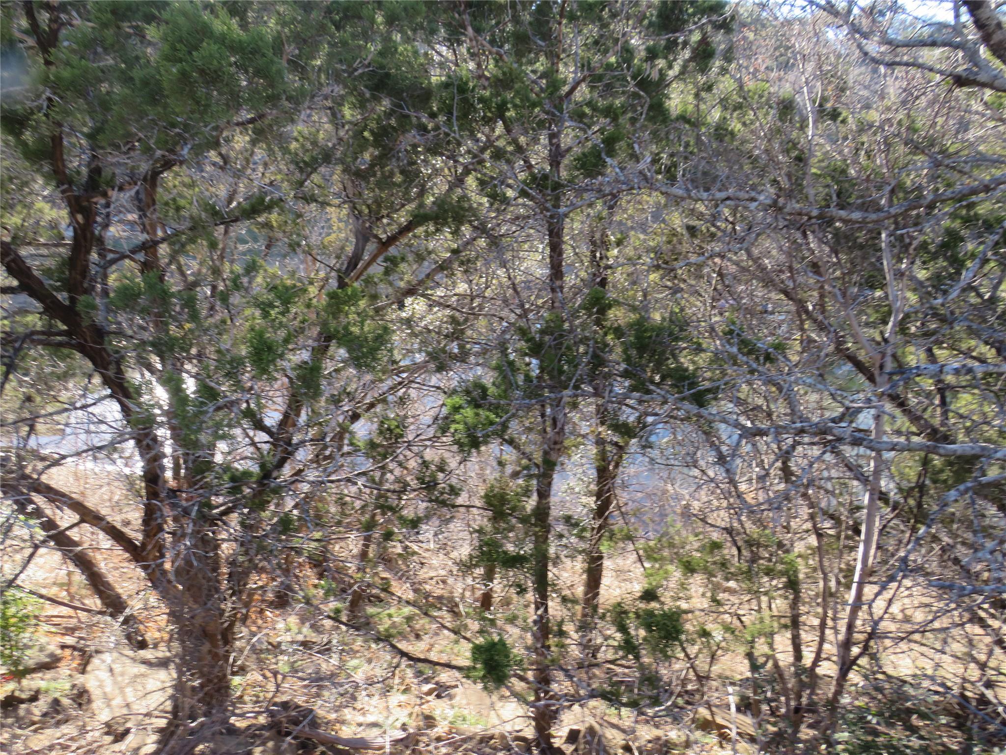 Tbd Lot 25 Sunset Cliff Road Burnet TX 78611