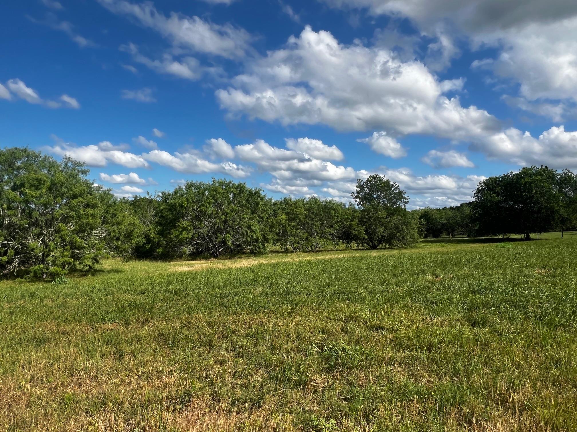 Lot 5 High Meadow Court East Schulenburg TX 78956