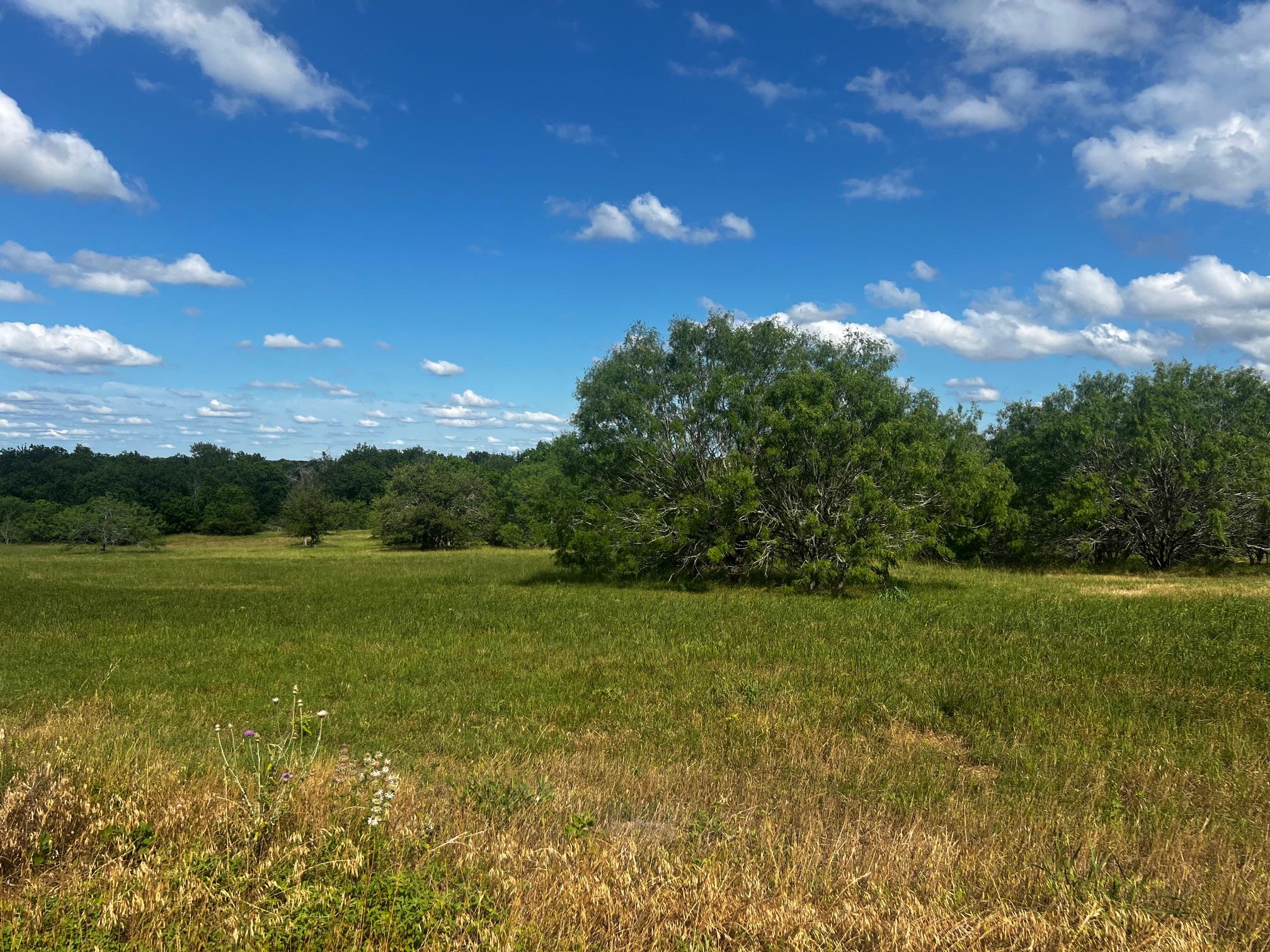 Lot 5 High Meadow Court East Schulenburg TX 78956