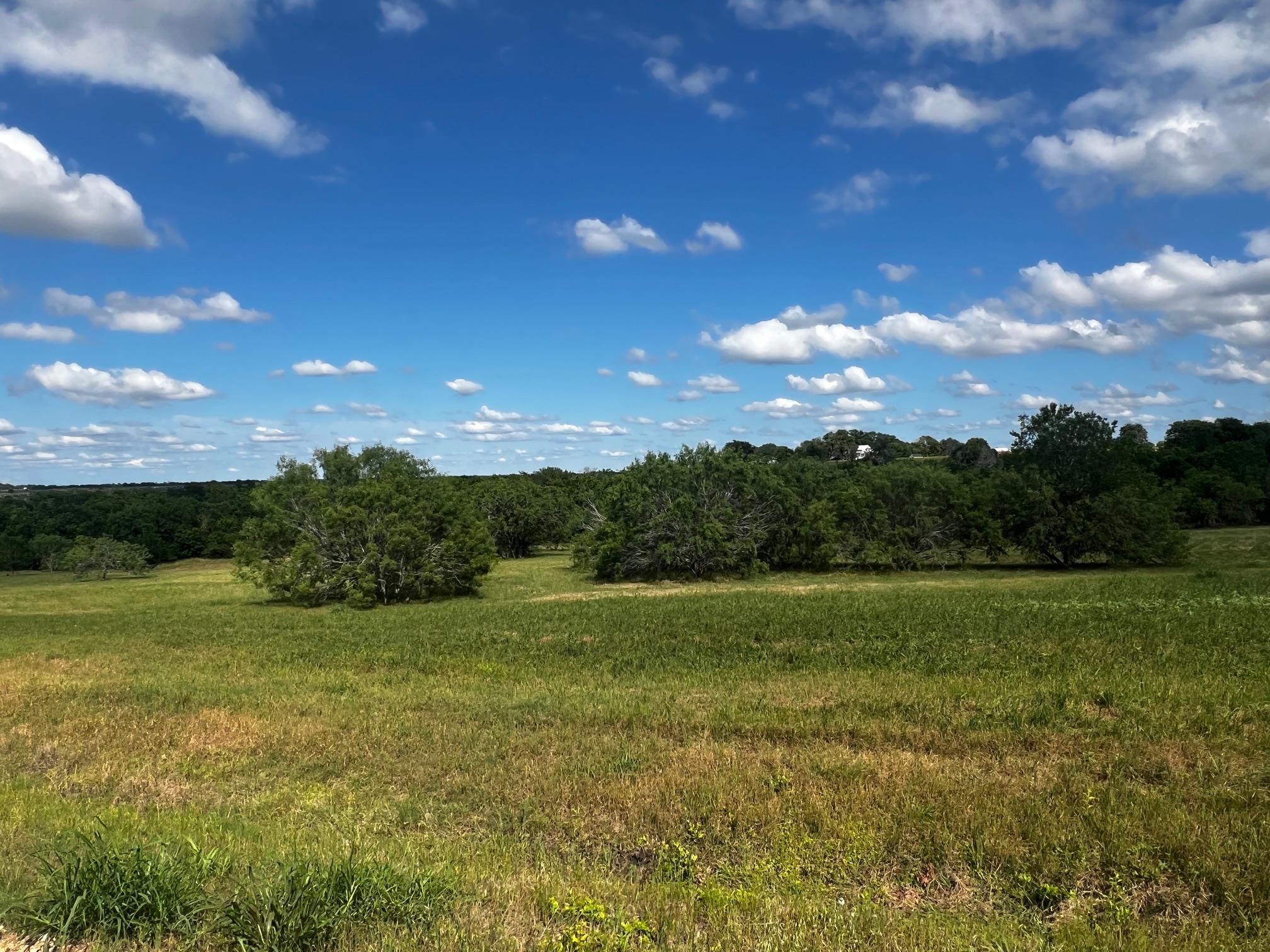 Lot 5 High Meadow Court East Schulenburg TX 78956