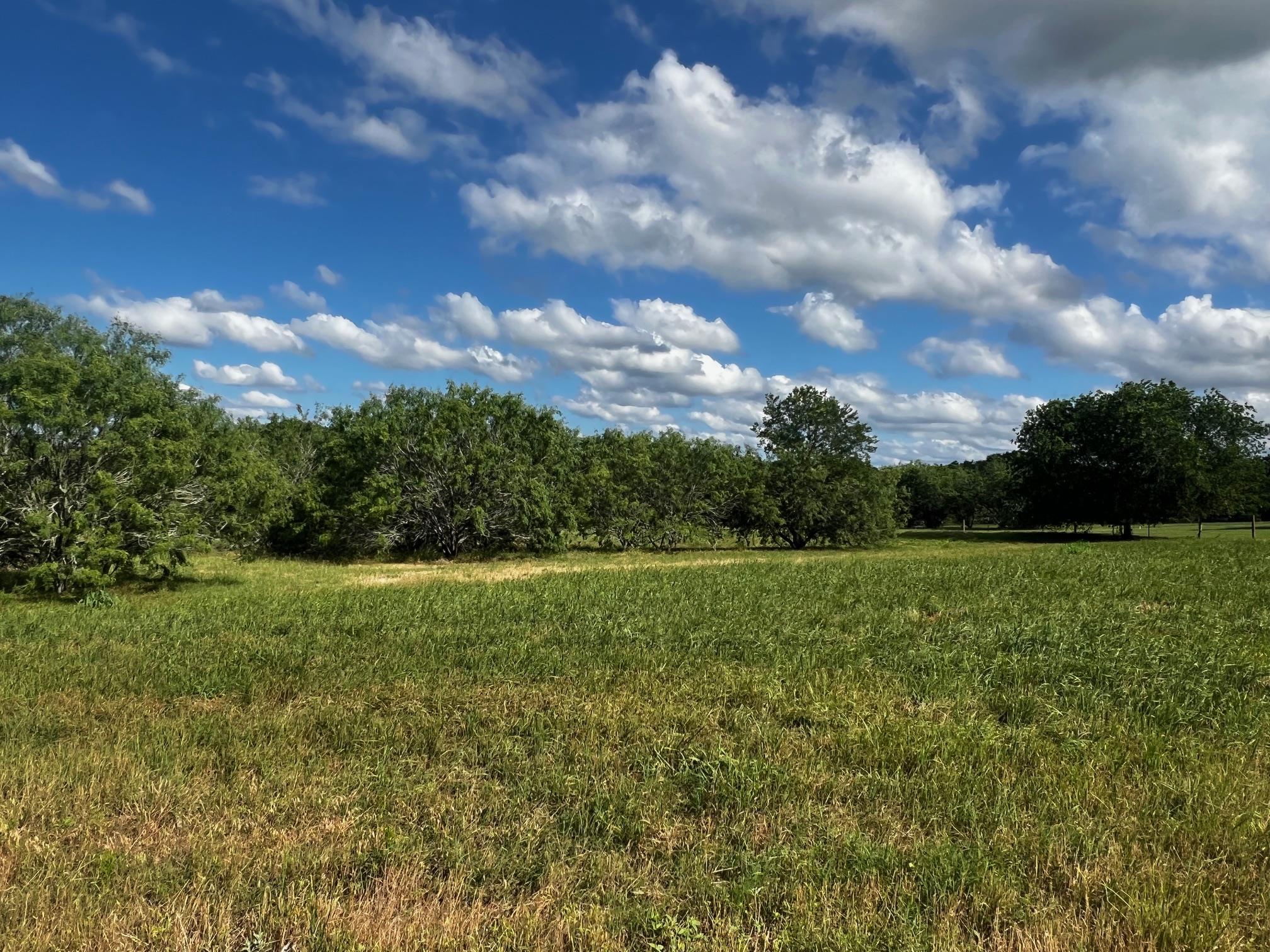 Lot 5 High Meadow Court East Schulenburg TX 78956