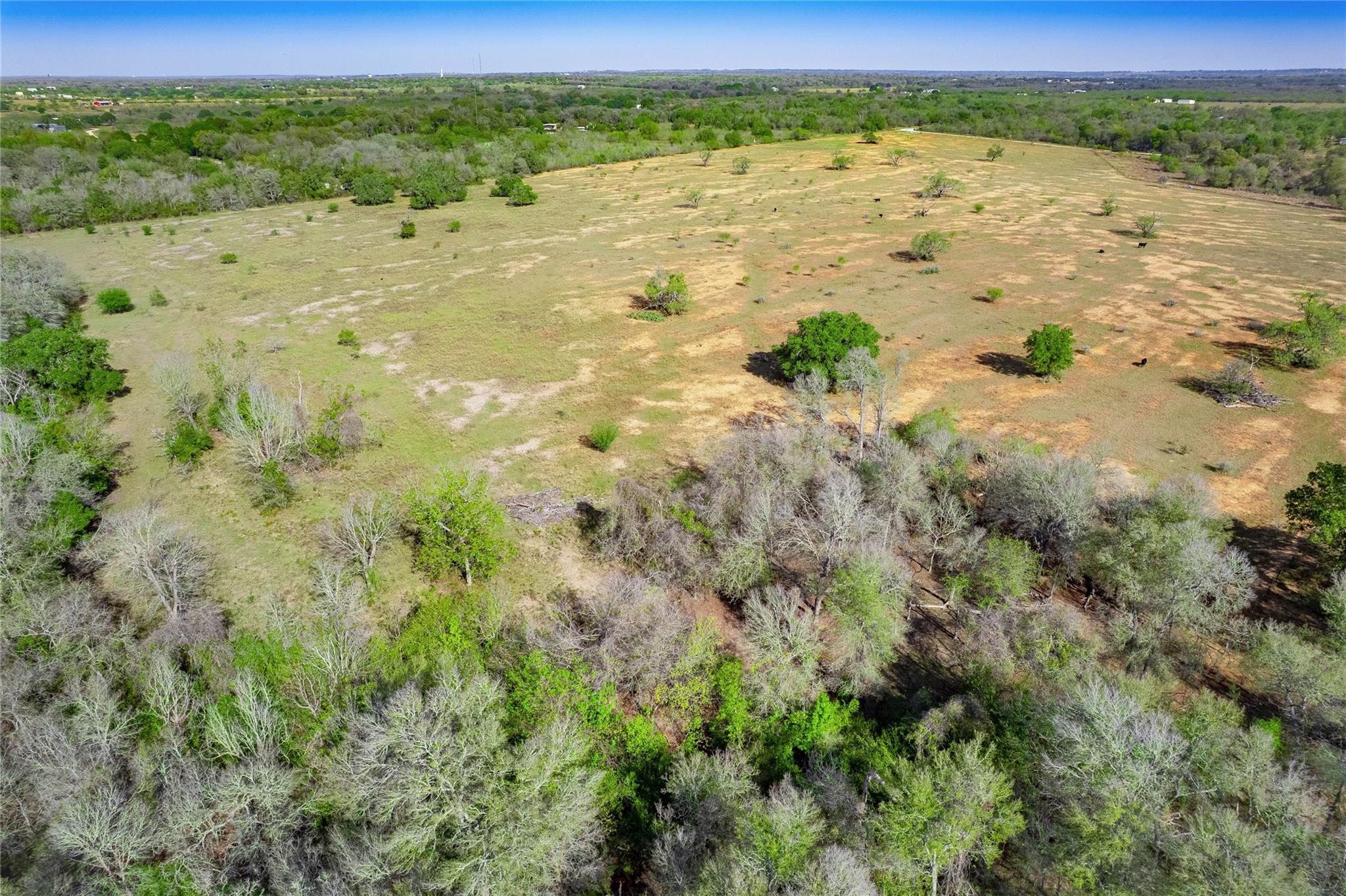 1180 Bugtussle Lane Luling TX 78648