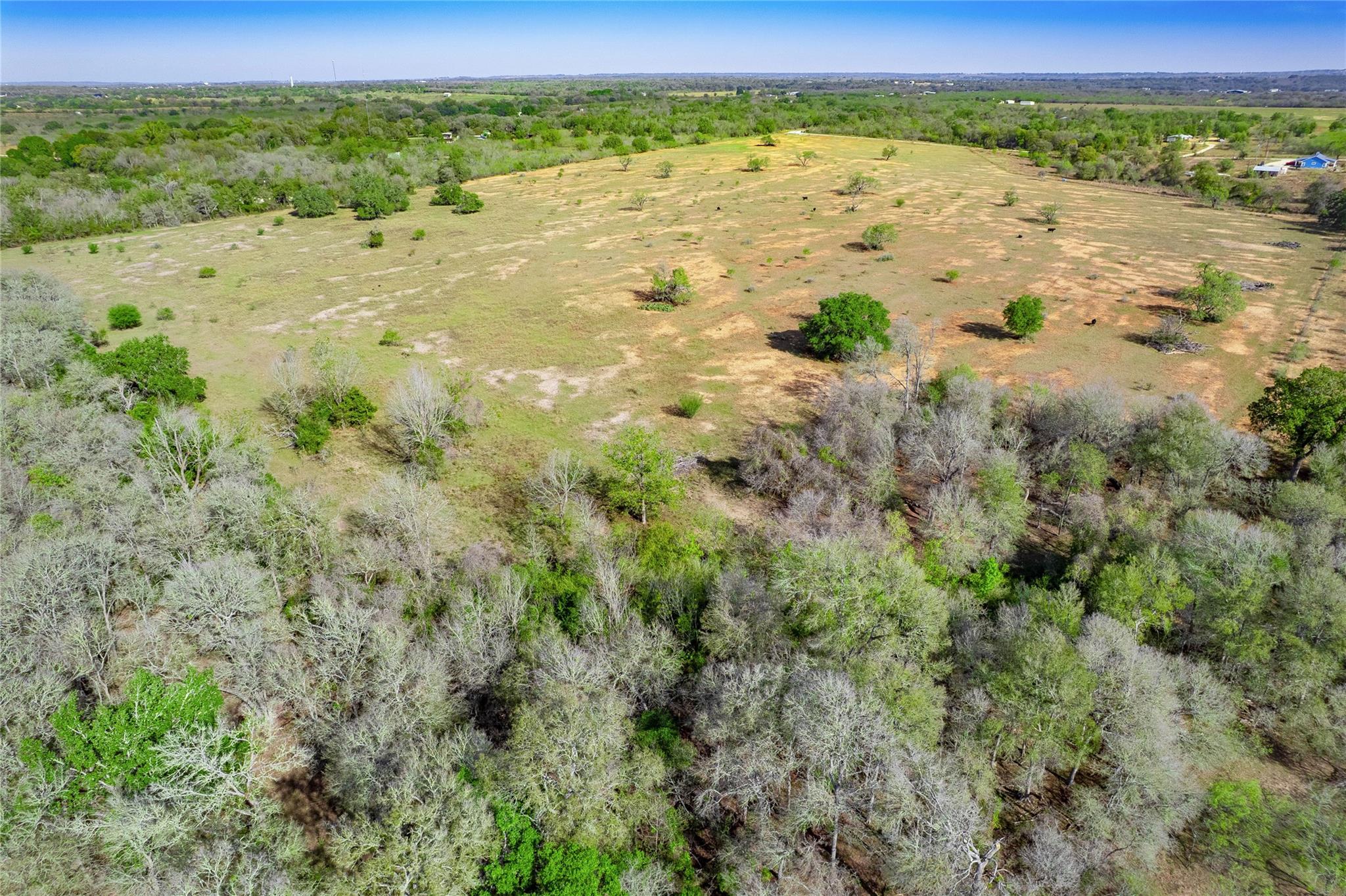 1180 Bugtussle Lane Luling TX 78648