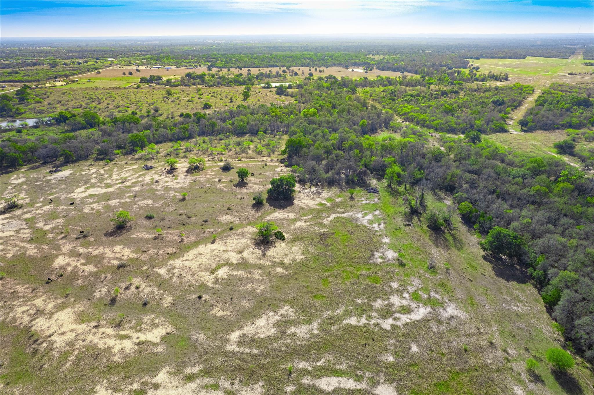 1180 Bugtussle Lane Luling TX 78648