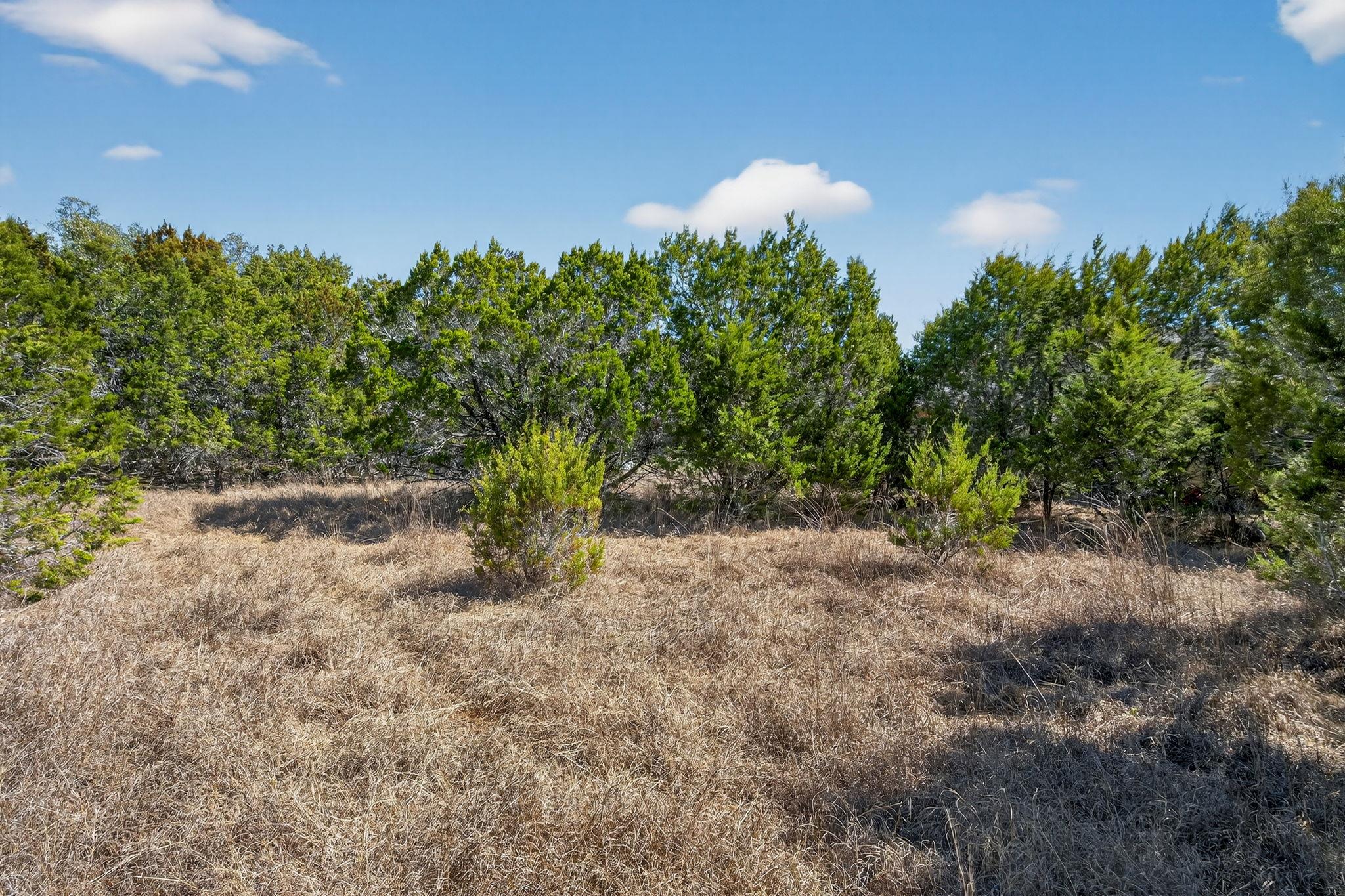 Tbd Mesquite Trail Wimberley TX 78676