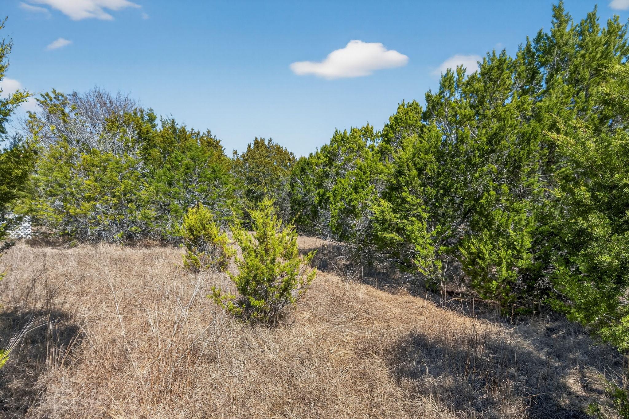 Tbd Mesquite Trail Wimberley TX 78676