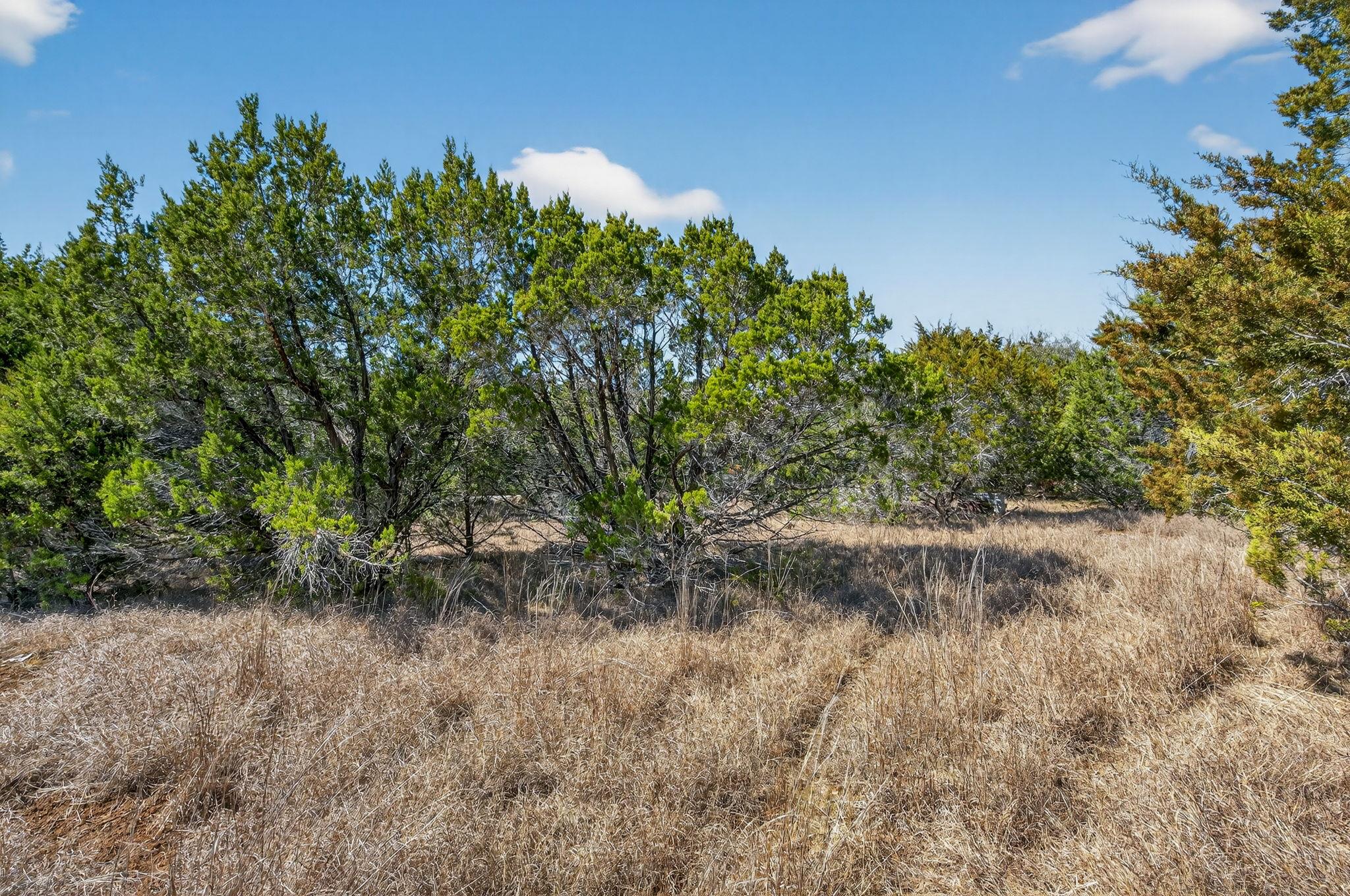 Tbd Mesquite Trail Wimberley TX 78676