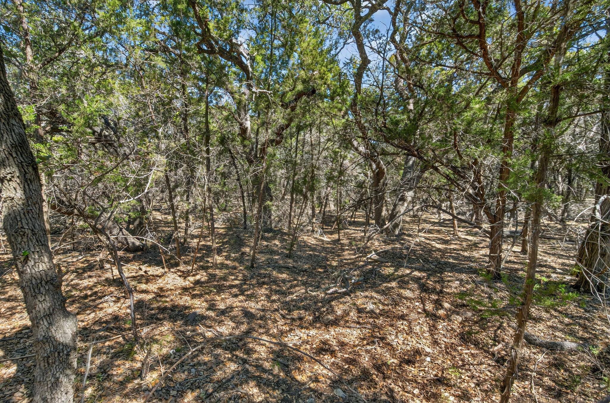 Tbd Mesquite Trail Wimberley TX 78676
