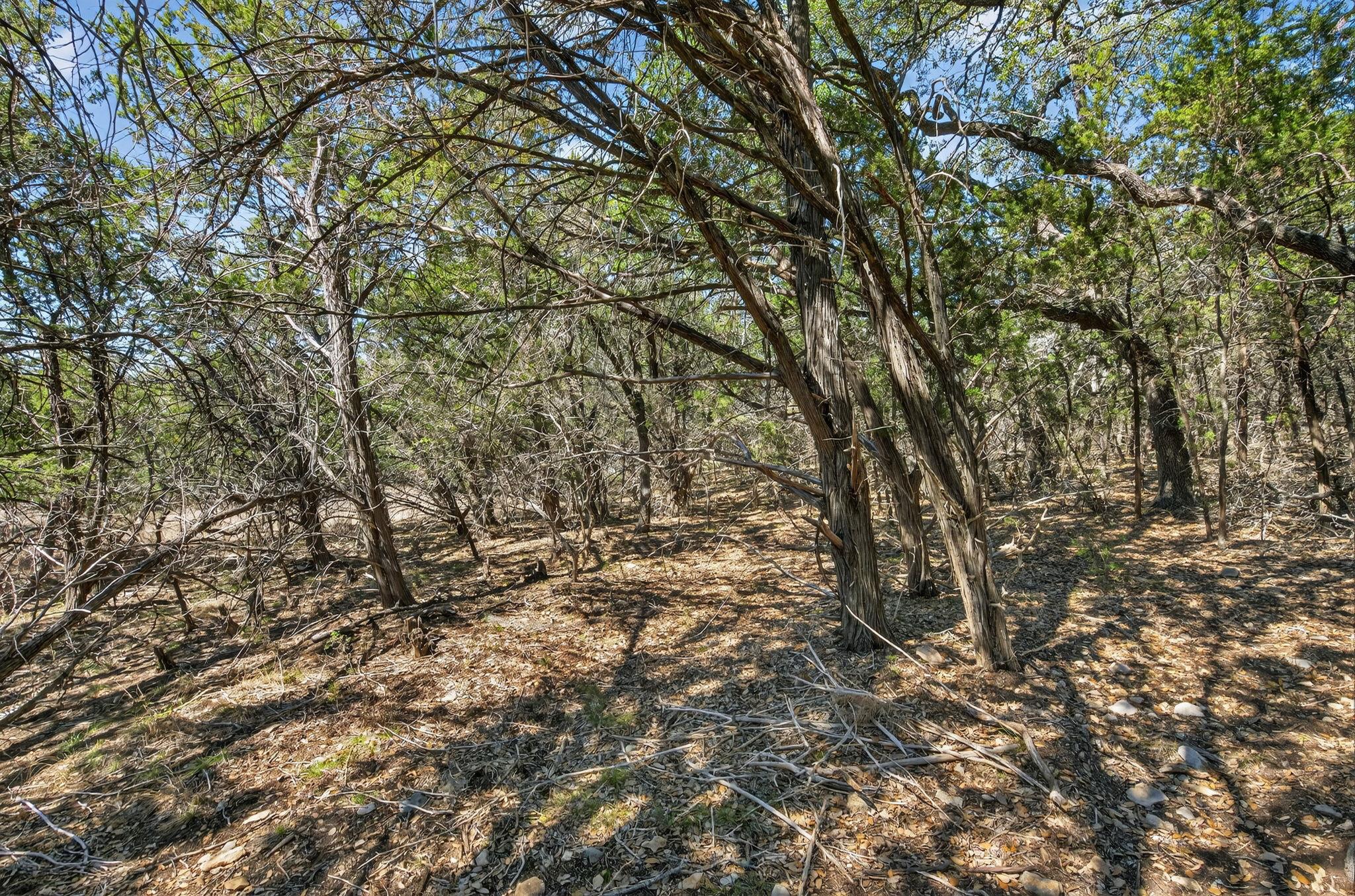 Tbd Mesquite Trail Wimberley TX 78676