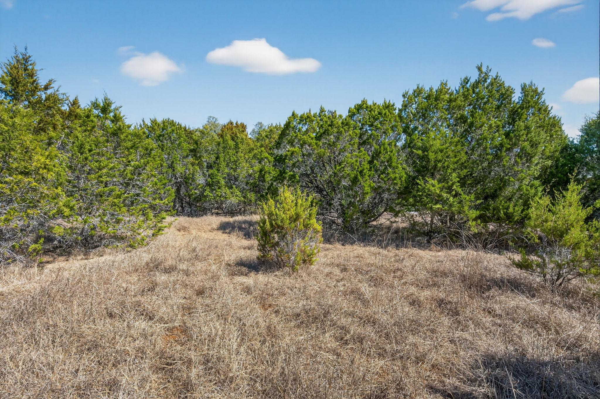 Tbd Mesquite Trail Wimberley TX 78676