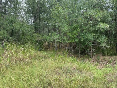 109 Halawa Court Bastrop TX 78602
