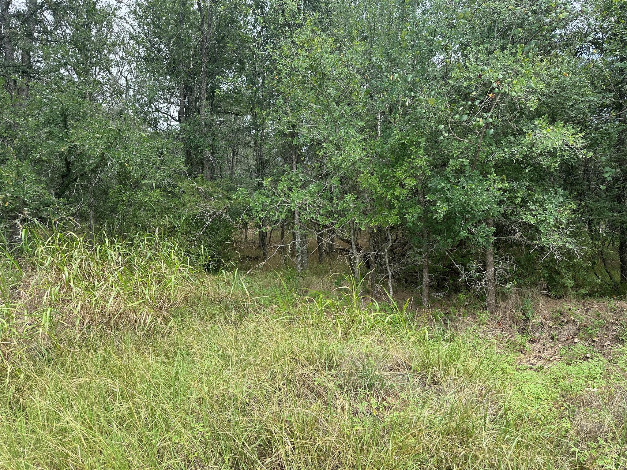 109 Halawa Court Bastrop TX 78602
