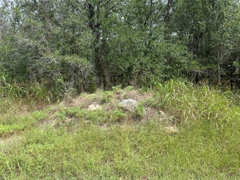 109 Halawa Court Bastrop TX 78602