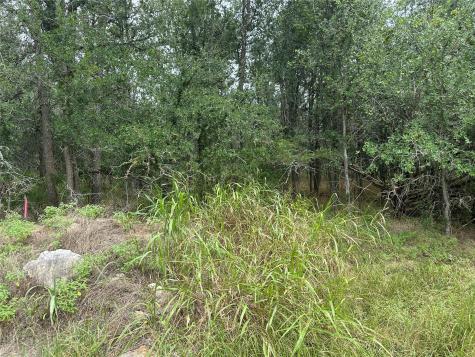 109 Halawa Court Bastrop TX 78602