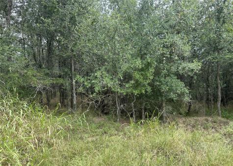 109 Halawa Court Bastrop TX 78602