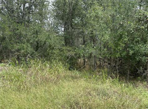 109 Halawa Court Bastrop TX 78602