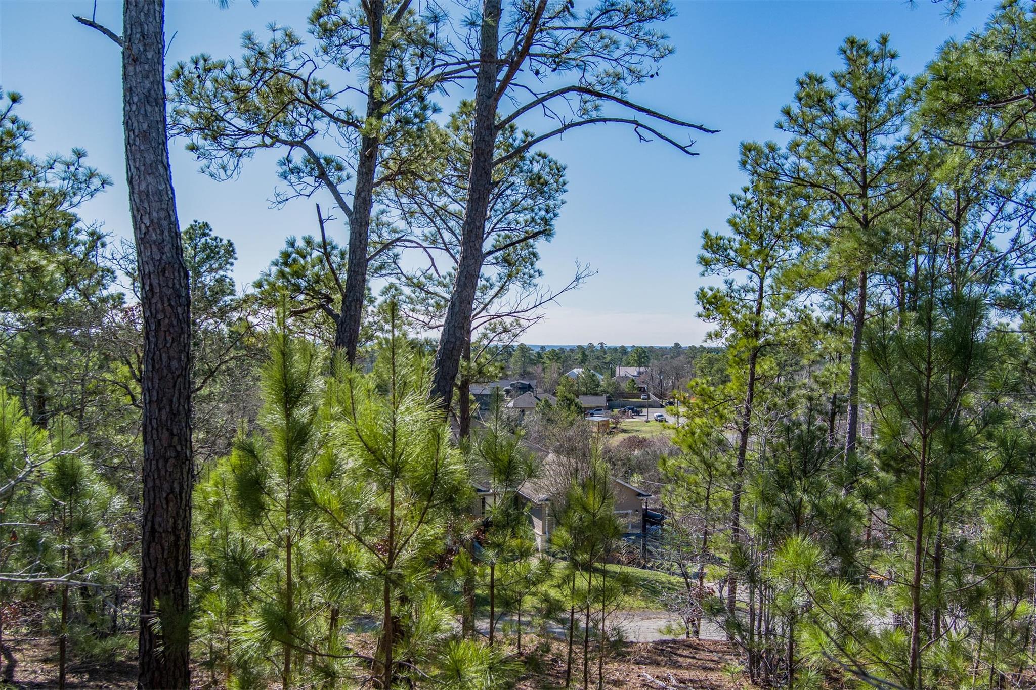 222 Makaha Drive Bastrop TX 78602