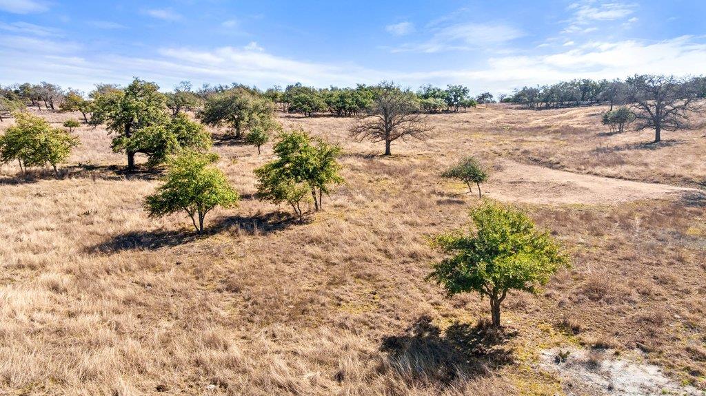 529 Skyline Drive Blanco TX 78606