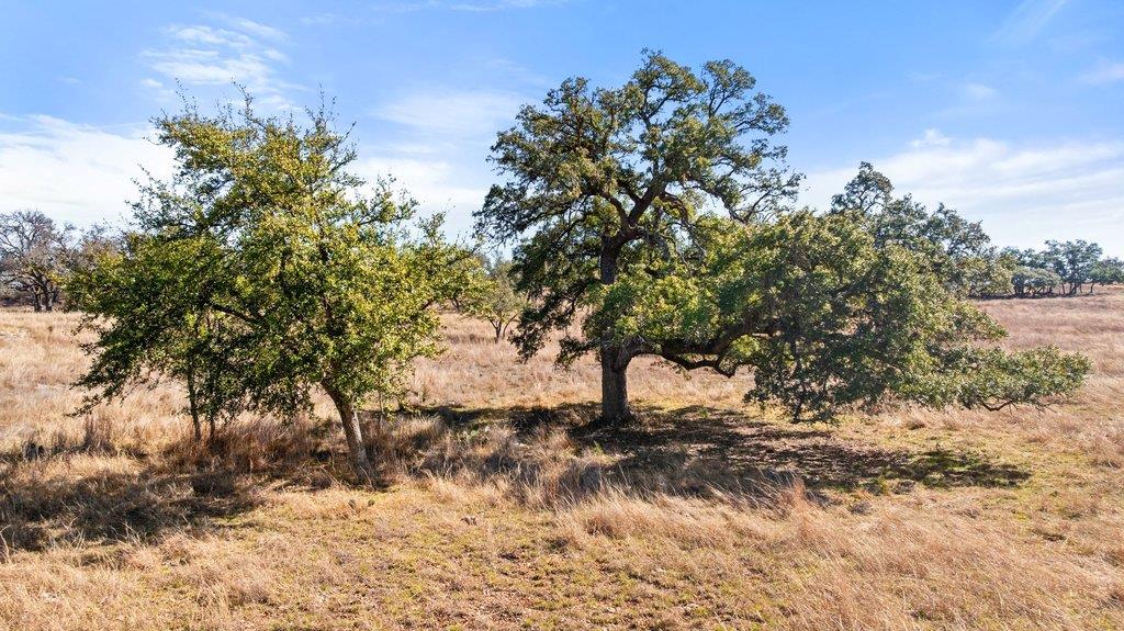 529 Skyline Drive Blanco TX 78606