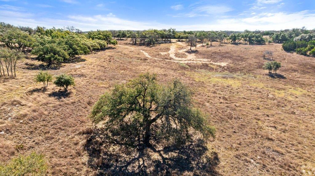529 Skyline Drive Blanco TX 78606