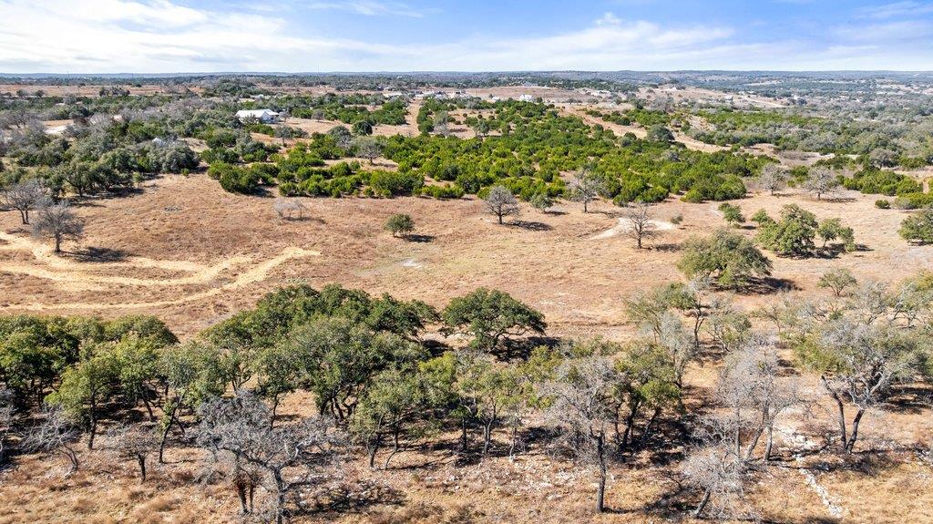 529 Skyline Drive Blanco TX 78606
