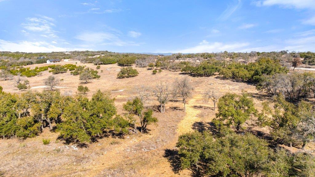 529 Skyline Drive Blanco TX 78606
