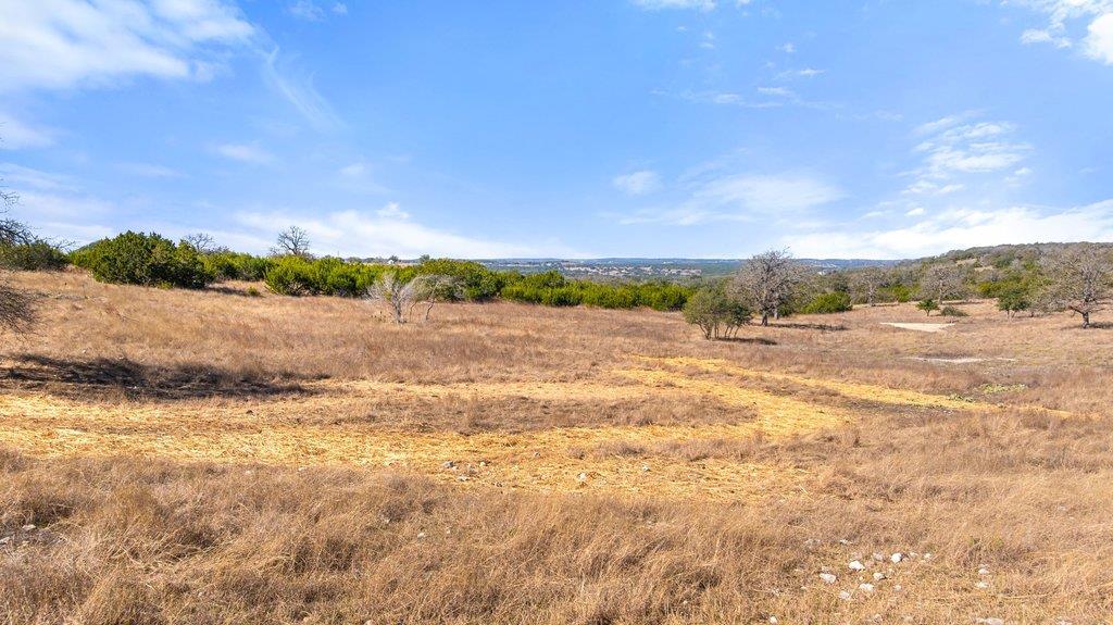 529 Skyline Drive Blanco TX 78606