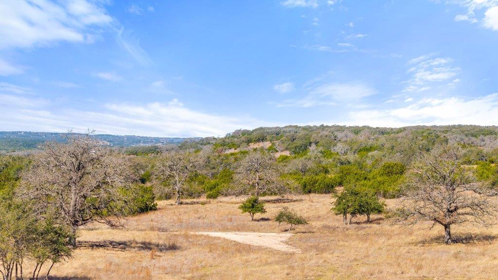 529 Skyline Drive Blanco TX 78606