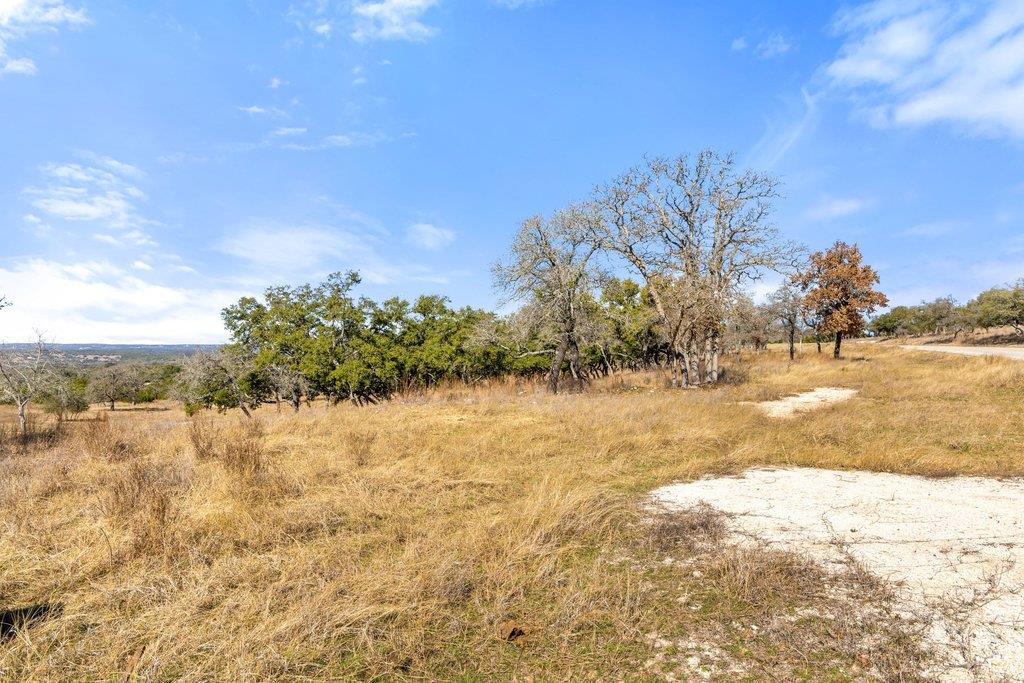 529 Skyline Drive Blanco TX 78606