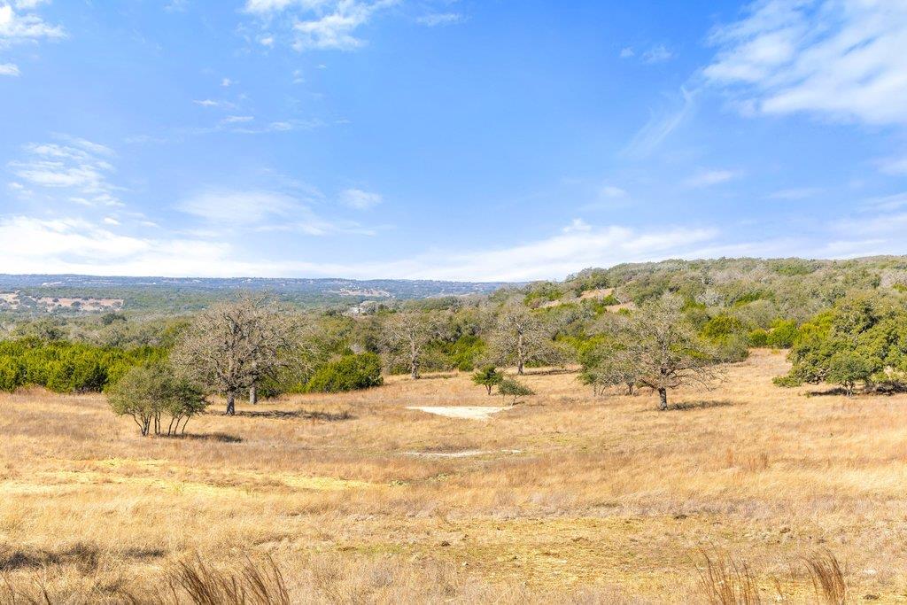 529 Skyline Drive Blanco TX 78606