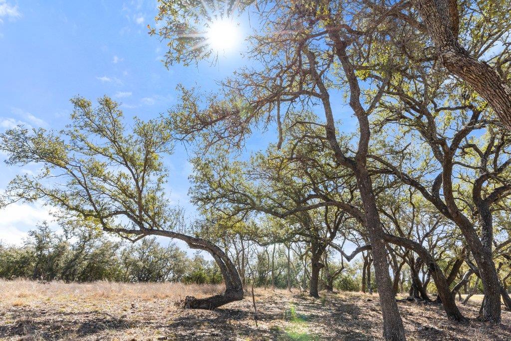 529 Skyline Drive Blanco TX 78606