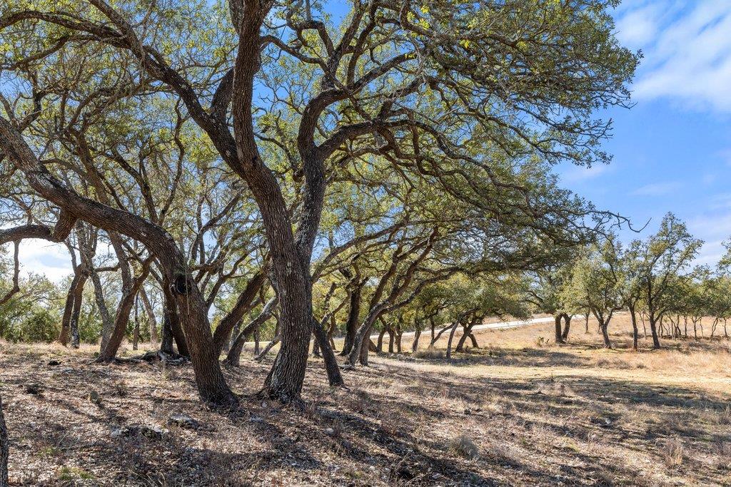 529 Skyline Drive Blanco TX 78606