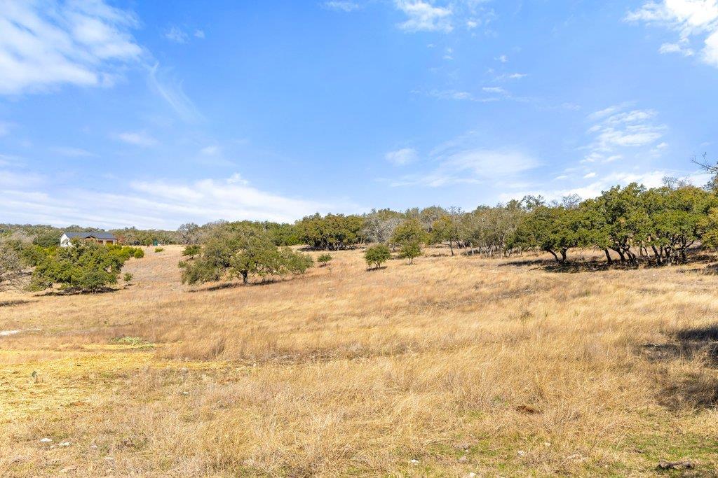529 Skyline Drive Blanco TX 78606