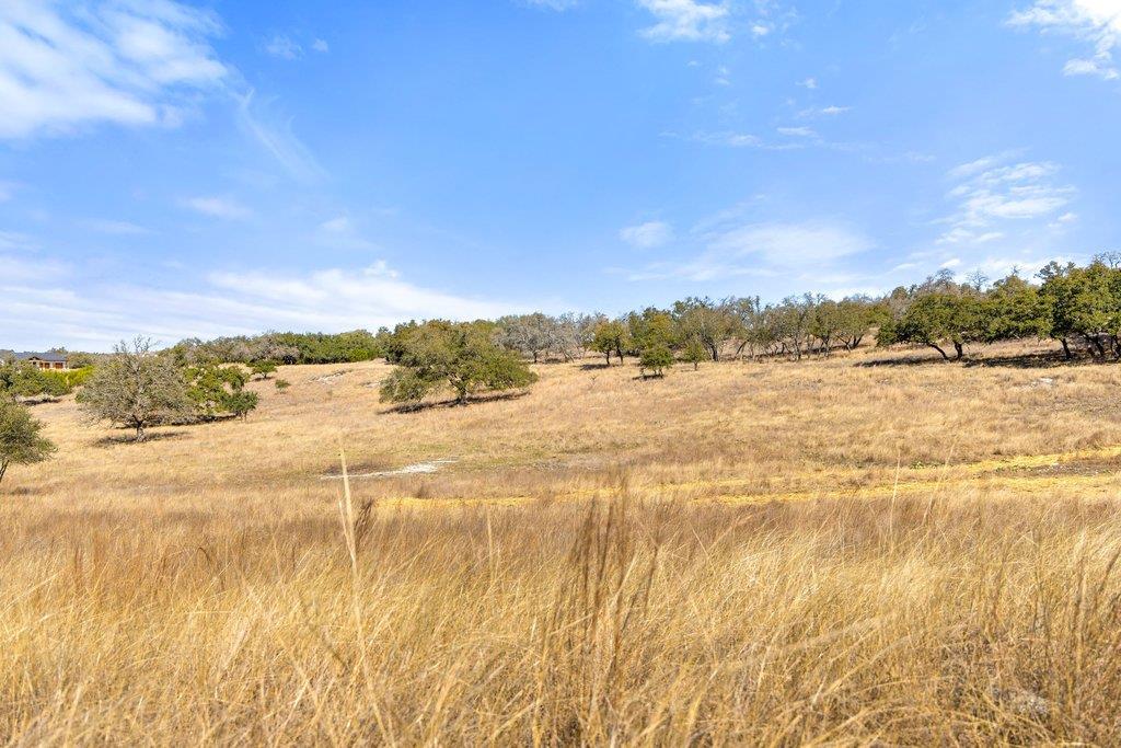 529 Skyline Drive Blanco TX 78606