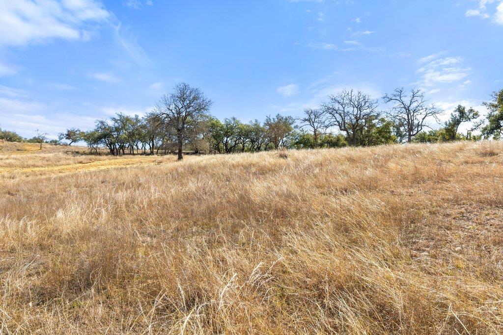 529 Skyline Drive Blanco TX 78606
