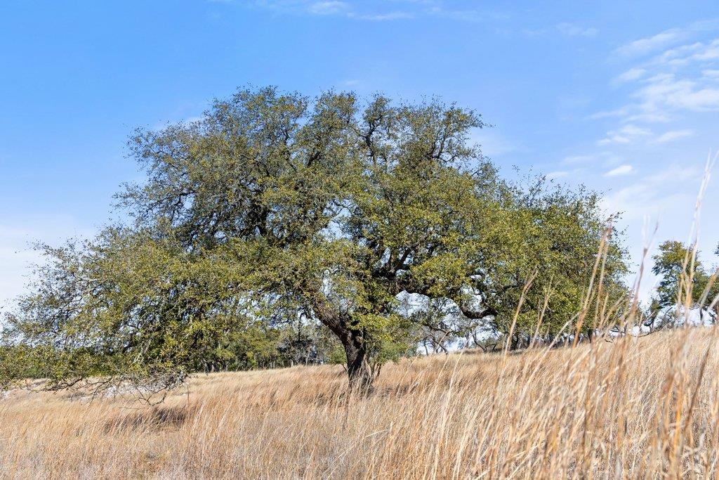 529 Skyline Drive Blanco TX 78606