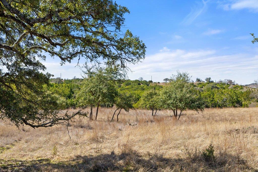 529 Skyline Drive Blanco TX 78606