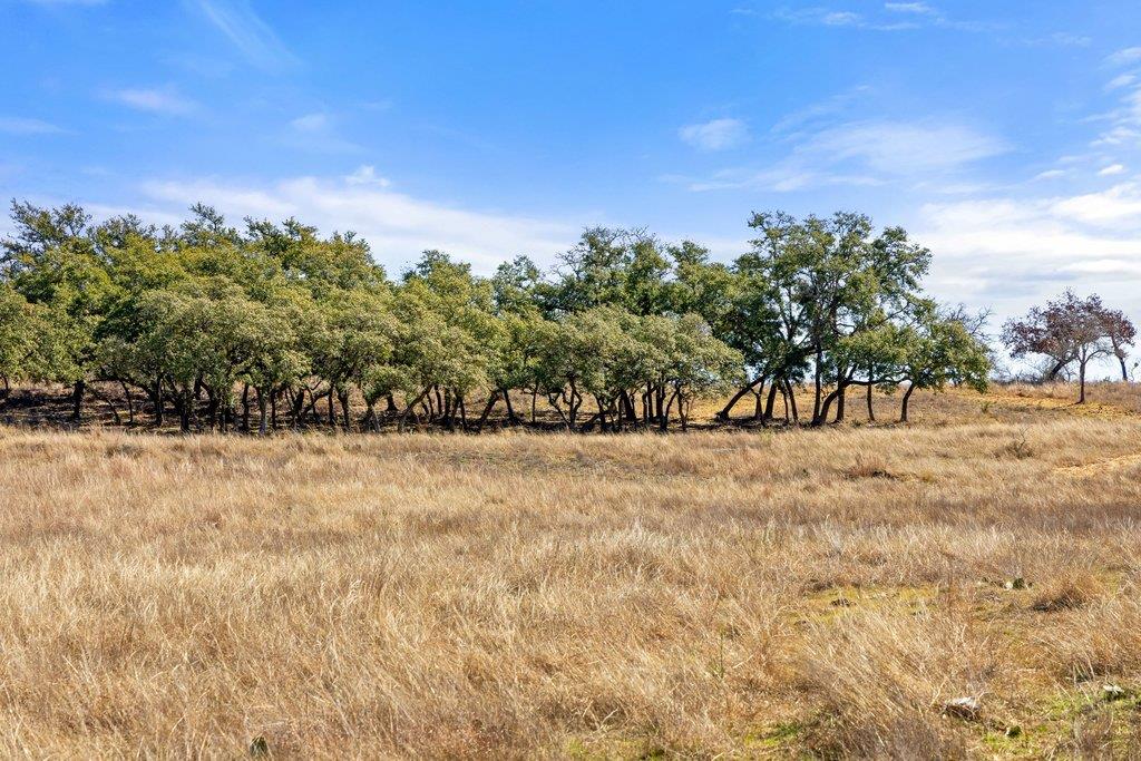 529 Skyline Drive Blanco TX 78606