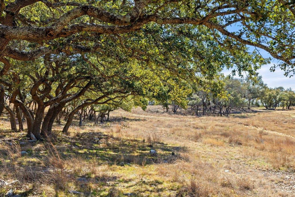 529 Skyline Drive Blanco TX 78606